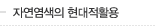 자연염색의 현대적활용